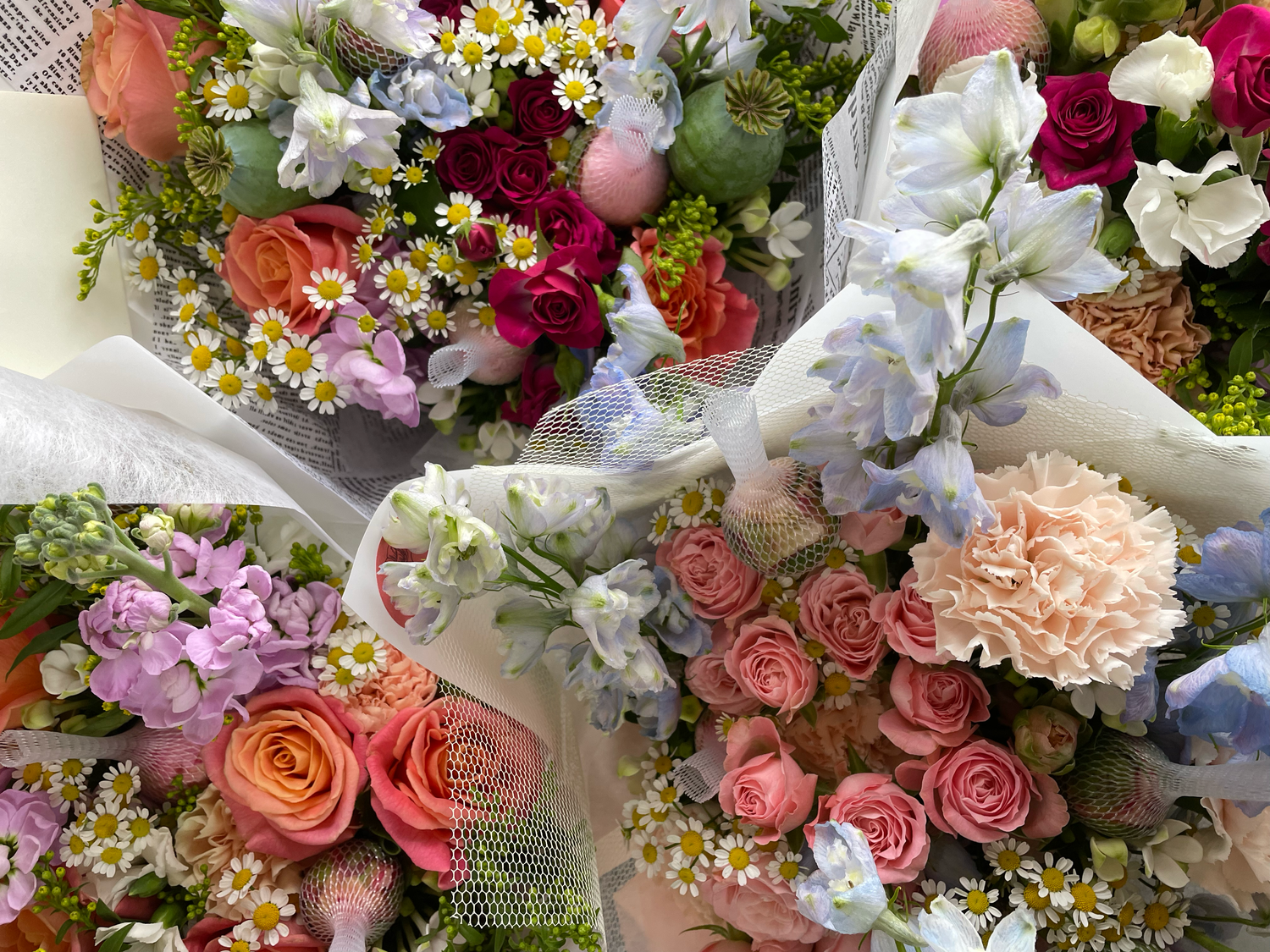 Seasonal Splendour image 0